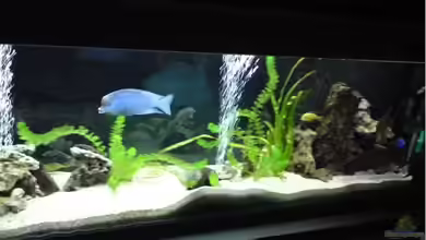 Becken groß von Dominik Bögershausen