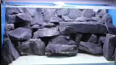 Becken Rechteckig von Andy h