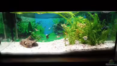 Becken von Marcel Wagner