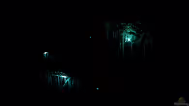 Begriffe erklärt: Biolumineszenz (Biolumineszenz - Bioluminescentia)