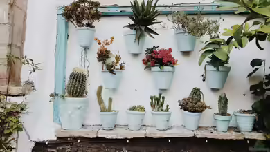 Begriffe erklärt: Was ist Vertical Gardening?