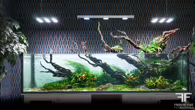 Bent by the wind von Fredo Fuss