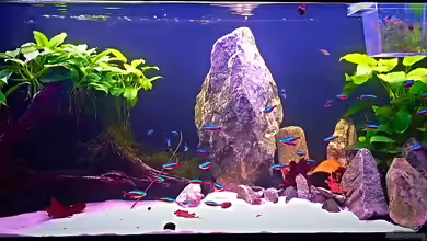 Berg und Tal Landschaft von Sale87