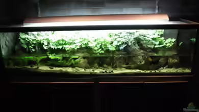 Besuch des Aquariums im Kölner Zoo