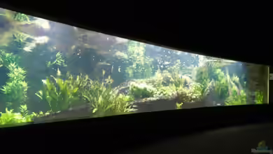 Besuch im Tropenaquarium Hagenbeck