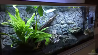 Between The Worlds von Aqua-Jonas