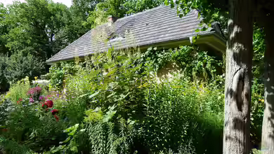 Biodiversität mit Garten und Teich verbessern