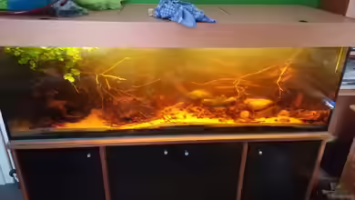 Blackwater-River von Daniel Krmr