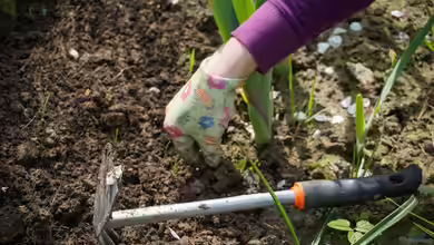 Bodenverbesserung im Frühling: Mehr Wasser speichern und gezielt nutzen