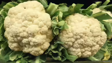 Brassica oleracea var. botrytis im Garten pflanzen