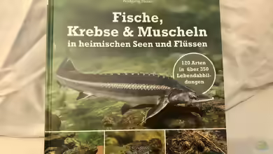 Buch-Vorstellung ???Fische, Krebse & Muscheln in heimischen Seen und Flüssen???
