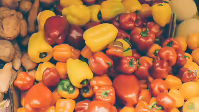 Capsicum anuum im Garten pflanzen
