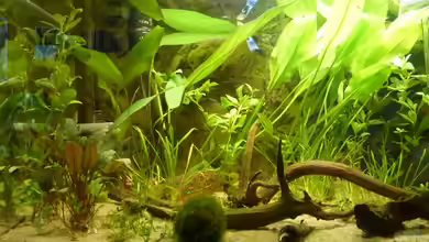 Chillout Zone von xxxFabixxx