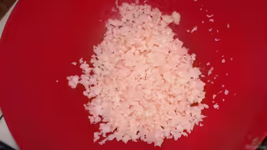 Cichlidenfutter-Rezept I