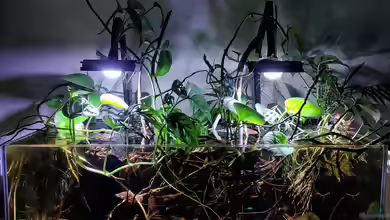 Clearwater part, Rio Orinoco, Venezuela von Aquawelten