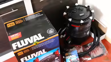 Cruiser Brunos Malawi-Projekt -4 - Bestellung Becken und techn. Zubehör
