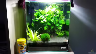 Cube.. das erste von Deladriel