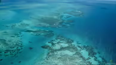 Das Great Barrier Reef