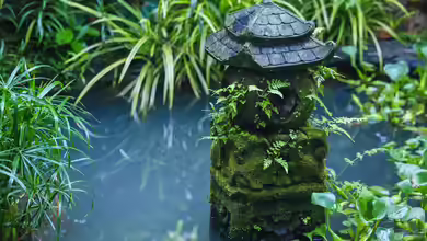 Das Hobby Gartenteich: Ein umfassender Überblick über Zahlen, Trends und Entwicklungen