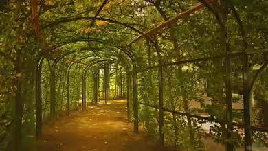 Das sind die beliebtesten Heckenpflanzen bei deutschen Gartenliebhabern