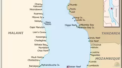 Das TAIWAN REEF im Malawisee