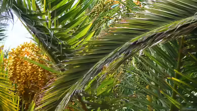 das Tropenbecken,richtig eingerichtet ?