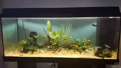 Das zuunkreativfüreinenNamen-Becken von Timo23