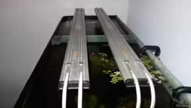 Daytime – LED-Beleuchtung