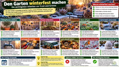 Den Garten winterfest machen - die wichtigsten Arbeiten vor Frost und Schnee