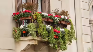 Der Balkongarten
