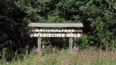 Der Bayerische Wald als Urlaubsziel und Inspiration für Hobbygärtner