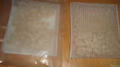 Der Eisenvolldünger Ferrdrakon