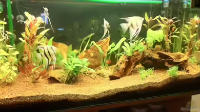 Der erste Versuch von Mario_83