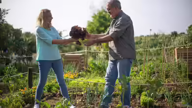 Der Garten als Hobby: Ein umfassender Blick auf Zahlen, Trends und Entwicklungen