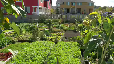 Der Gemeinschaftsgarten