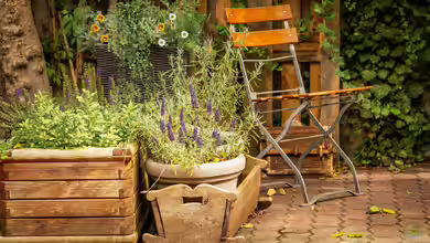Der ideale Pflanzkübel - Wie du den perfekten Kübel für Garten, Terrasse und Balkon findest