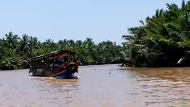 Der Mekong