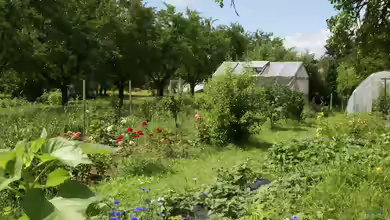 Der Schrebergarten oder Kleingarten