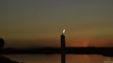 Der Teich bei Nacht - Wer kommt, wenn es dunkel wird?