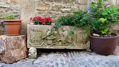 Der Troggarten - zeitlose Gartengestaltung mit Charakter, Struktur und natürlicher Ruhe