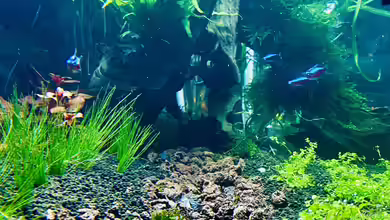 Der Weg von Dr. Teller