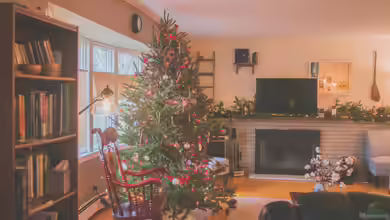 Der Weihnachtsbaum im Wandel der Zeit