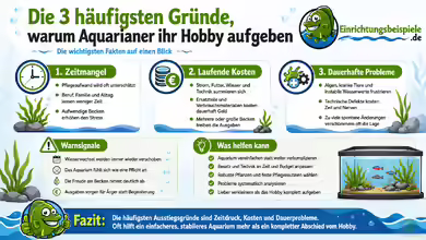 Die 3 häufigsten Gründe, warum Aquarianer ihr Hobby aufgeben