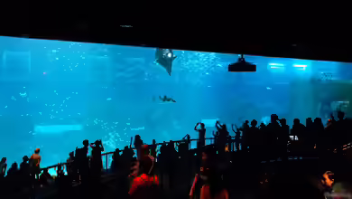 Die beeindruckendsten Aquarien der Welt 