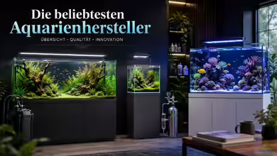 Die beliebtesten Hersteller: Welche Marken Aquarianer kennen sollten