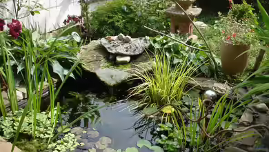 Die Kosten eines kleinen Gartenteiches - Ein Leitfaden für Gartenliebhaber