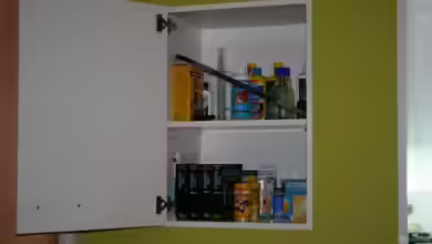 Die Must-Have Medikamente für jedes Aquarium: Welche Mittel sollten Aquarianer immer griffbereit haben?