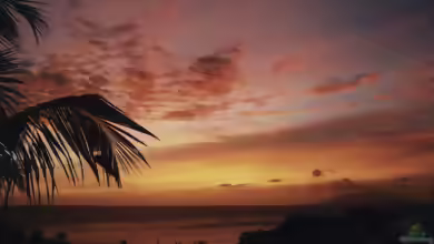 Die Seychellen