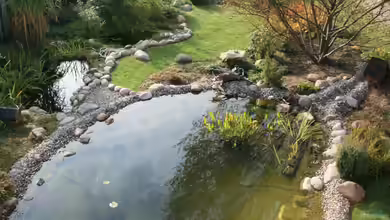 Die verschiedenen Zonen im Gartenteich – ein Leitfaden für Planung und Optimierung