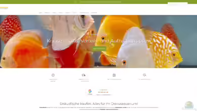 diskus-direkt.de - Onlineshop für Diskusfische